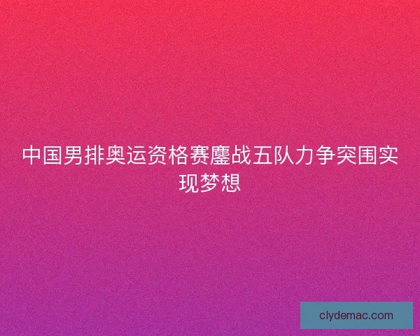 中国男排奥运资格赛鏖战五队力争突围实现梦想