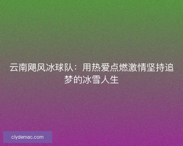 云南飓风冰球队:用热爱点燃激情坚持追梦的冰雪人生 云南飓风冰球队:用热爱点燃激情坚持追梦的冰雪人生