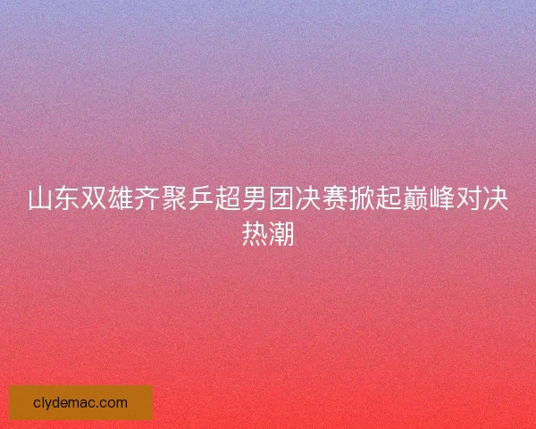 山东双雄齐聚乒超男团决赛掀起巅峰对决热潮 山东双雄齐聚乒超男团决赛掀起巅峰对决热潮