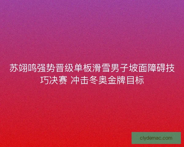 苏翊鸣强势晋级单板滑雪男子坡面障碍技巧决赛 冲击冬奥金牌目标